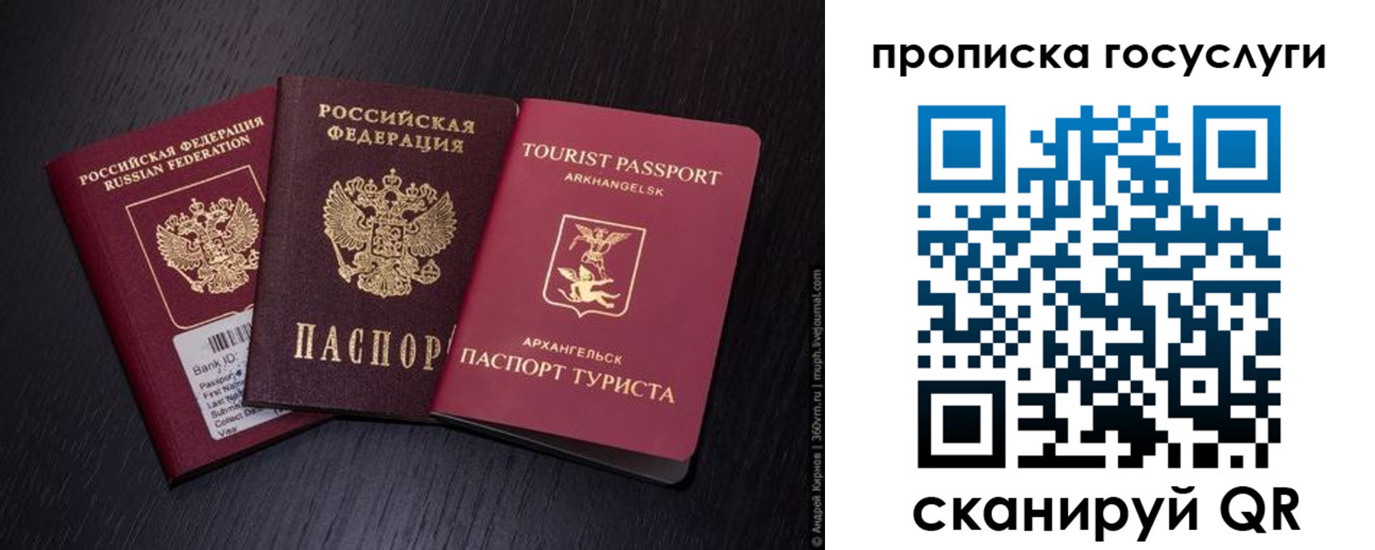 прописка 2025 в Советске